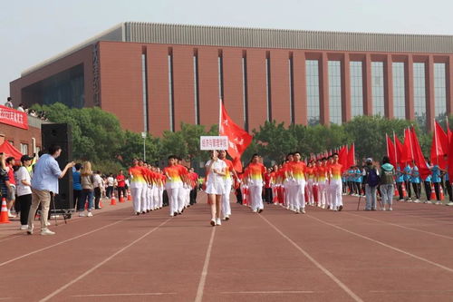 最燃開幕式 獻(xiàn)禮建黨100年！——天津科技大學(xué)信息系統(tǒng)集成服務(wù)彰顯紅色擔(dān)當(dāng)